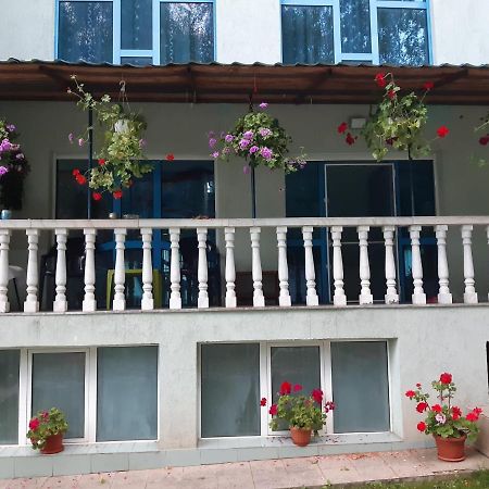 Casa Albastra Hotel Drumu Carului Eksteriør billede