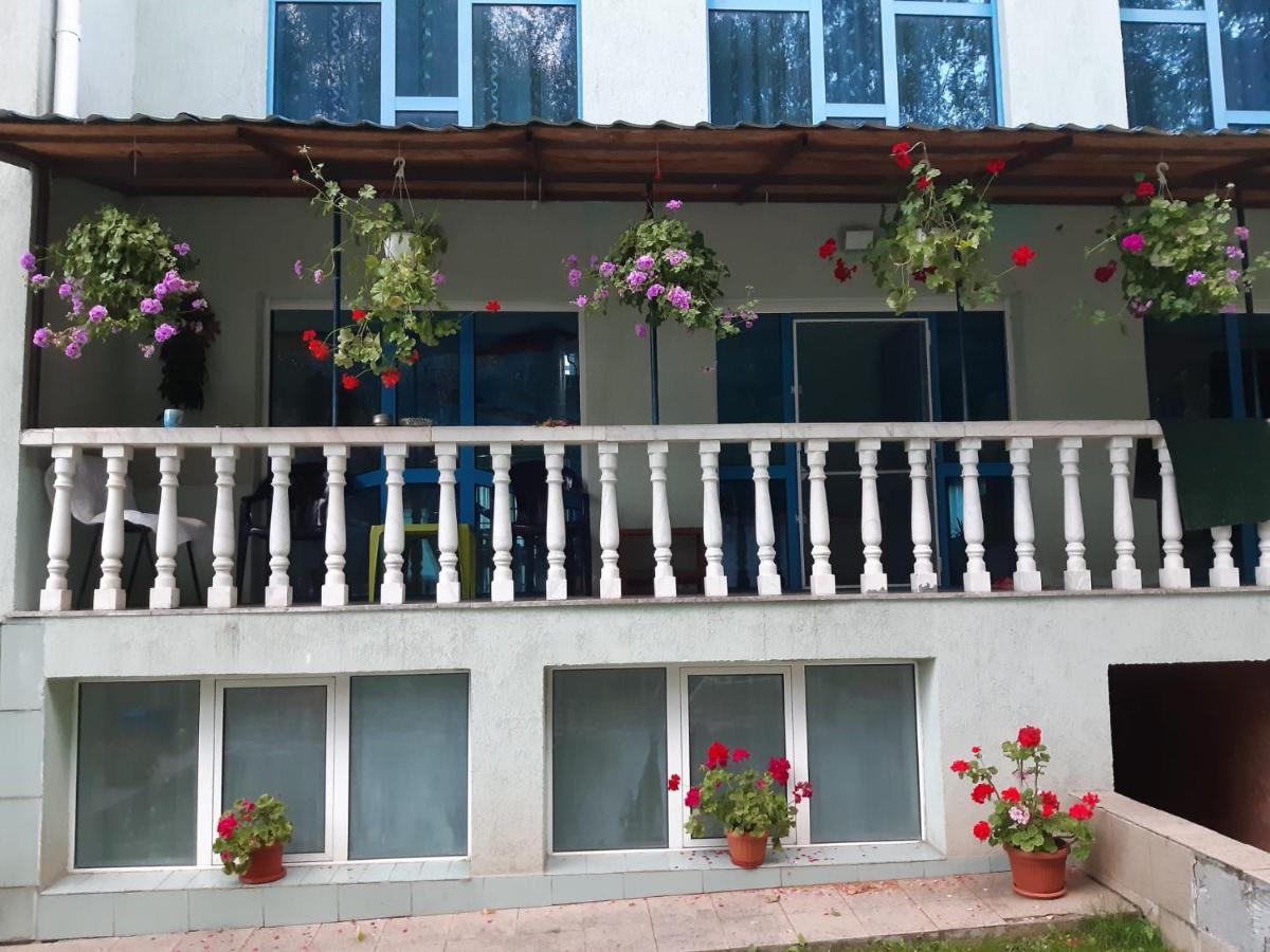 Casa Albastra Hotel Drumu Carului Eksteriør billede