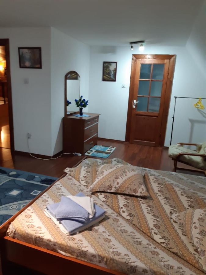 Casa Albastra Hotel Drumu Carului Eksteriør billede