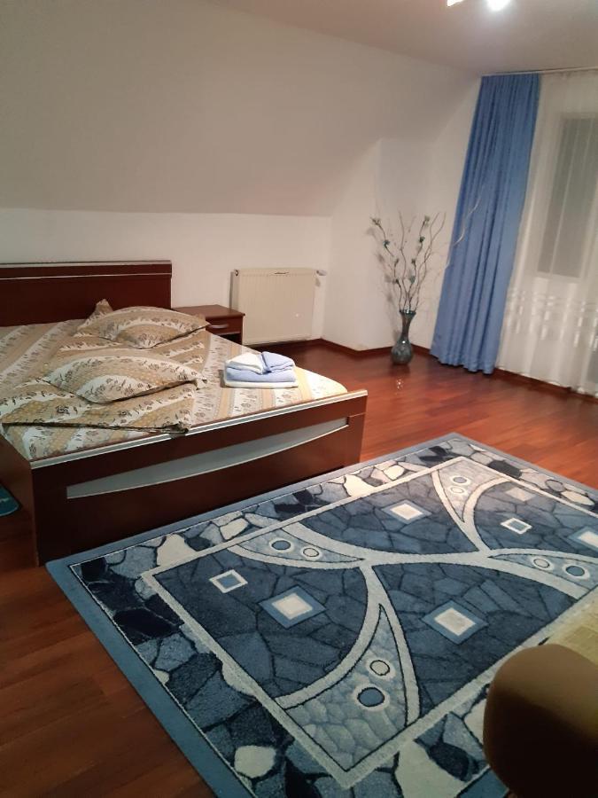 Casa Albastra Hotel Drumu Carului Eksteriør billede