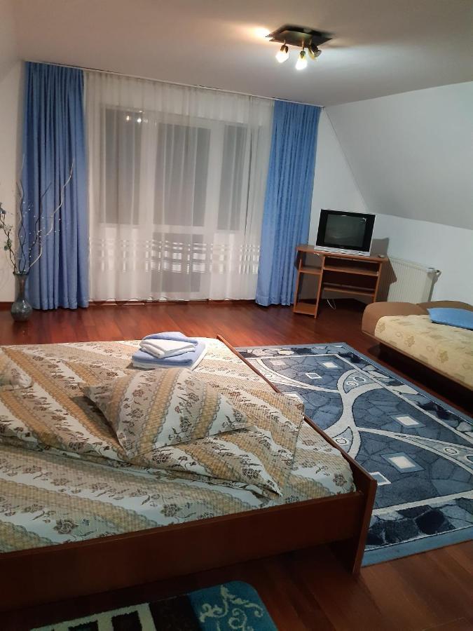 Casa Albastra Hotel Drumu Carului Eksteriør billede