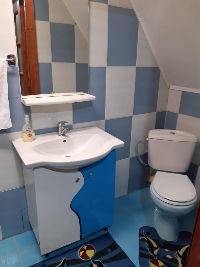 Casa Albastra Hotel Drumu Carului Eksteriør billede