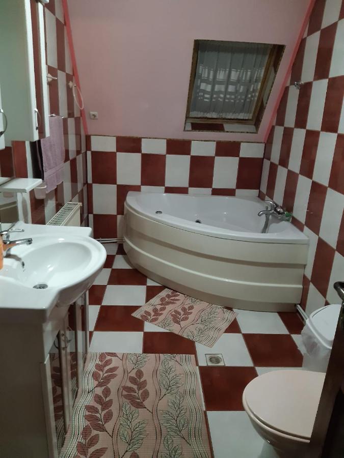 Casa Albastra Hotel Drumu Carului Eksteriør billede