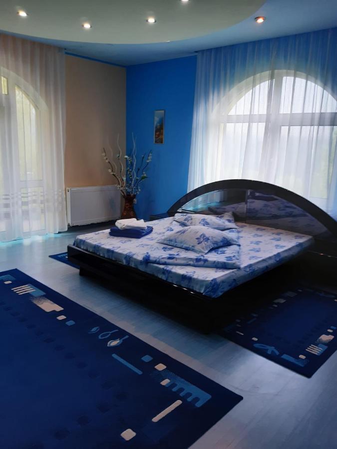 Casa Albastra Hotel Drumu Carului Eksteriør billede