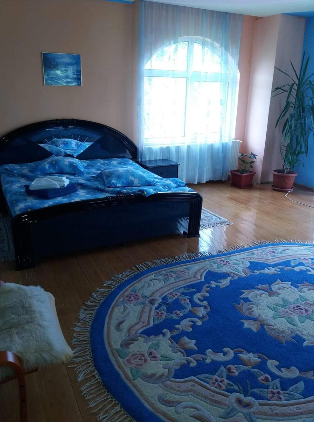 Casa Albastra Hotel Drumu Carului Værelse billede